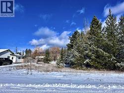 1022 7TH AVENUE Valemount, BC V0E 2Z0