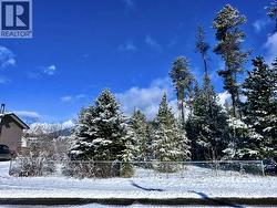 1044 9TH AVENUE Valemount, BC V0E 2Z0