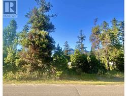 1060 6TH AVENUE Valemount, BC V0E 2Z0