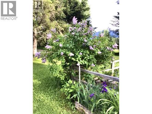 310 Mountain View Road, Mcbride, BC 