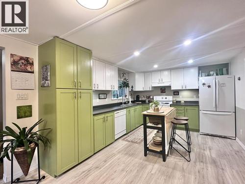 310 Mountain View Road, Mcbride, BC - Indoor Photo Showing Kitchen