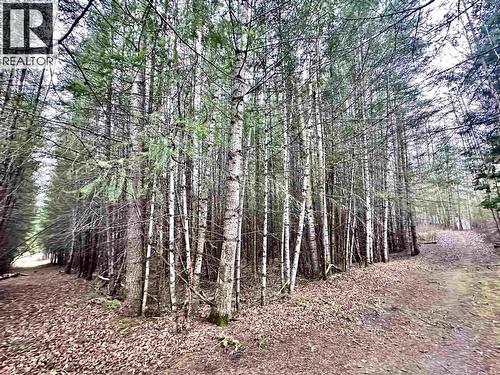 310 Mountain View Road, Mcbride, BC - Outdoor