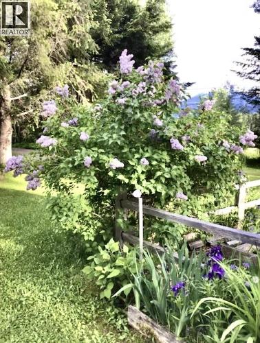 310 Mountain View Road, Mcbride, BC - Outdoor