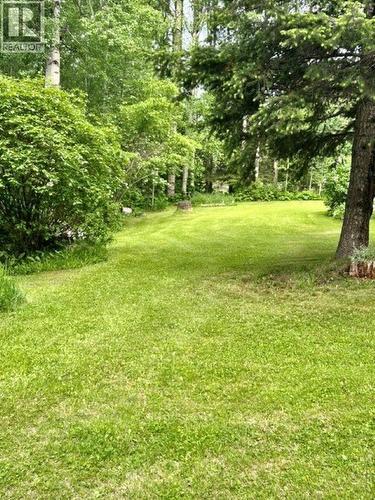 310 Mountain View Road, Mcbride, BC - Outdoor