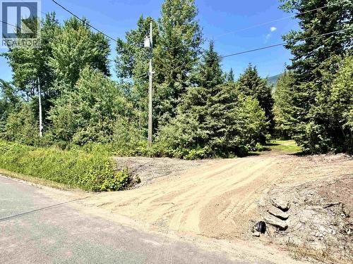 310 Mountain View Road, Mcbride, BC - Outdoor
