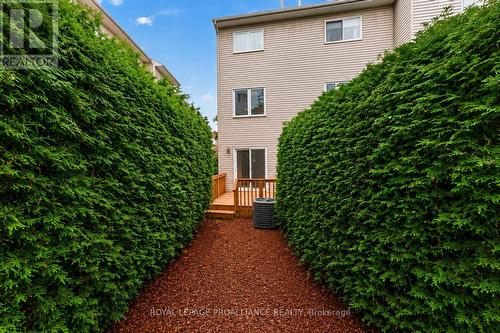Back Yard - 80 Rothbury Crescent, Ottawa, ON 