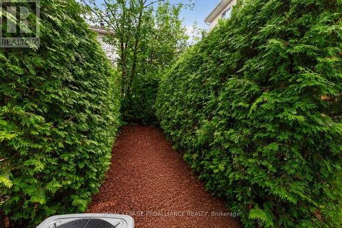 Back Yard - 80 Rothbury Crescent, Ottawa, ON 