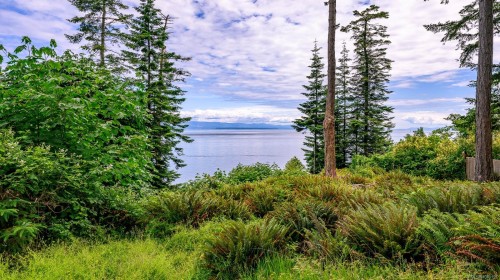 1093 Ash St, Campbell River, BC 