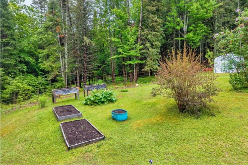 Courtyard - 1451 Ch. Du Lac-Aux-Bois-Francs O., Rivière-Rouge, QC - Outdoor