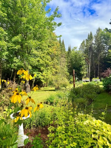 Autre - 1451 Ch. Du Lac-Aux-Bois-Francs O., Rivière-Rouge, QC 