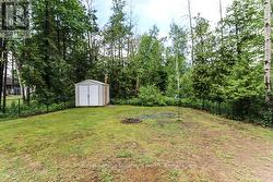 Rear Yard with shed - 