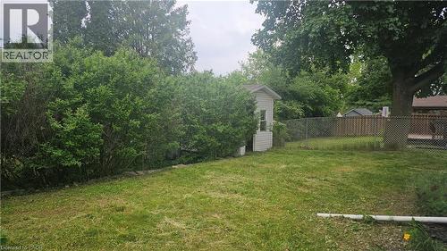 Expansive backyard featuring a partial chain-link fence, mature trees, and a detached shed with vertical siding - 58 Belwood Crescent, Kitchener, ON 