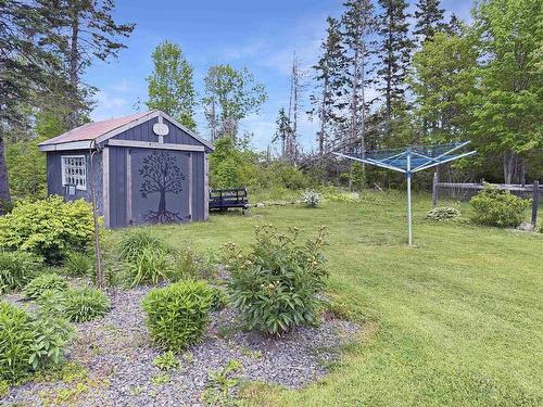 981 Foxbrook Road, Fox Brook, NS 