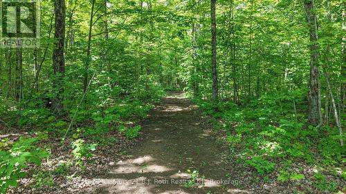 3082 Fairgrounds Road, Severn, ON 