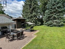 Backyard - 