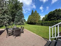Backyard - 
