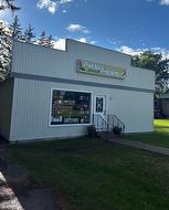 414 Broadway Street  Glenboro, MB R0K 0X0