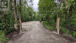 538 TIFFIN STREET Barrie, ON L4N 9W8