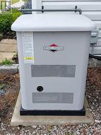 Generator for peace of mind! - 
