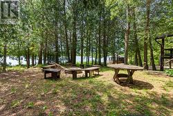 Enjoy campfires and starryskies - 