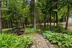 Mature, low maintenance gardens - 