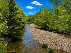 0 Cabot Trail Road  North East Margaree, NS B0E 2H0