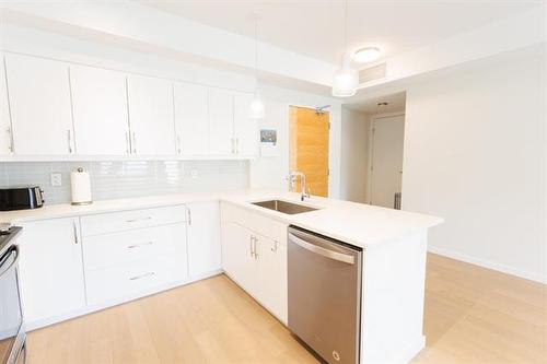 308-755 North Dr, Winnipeg, MB 
