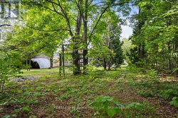 Enjoy nature from your back door - 