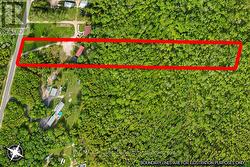 Pristine Bruce Peninsula Woods - 