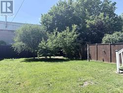 Large Private Backyard - 