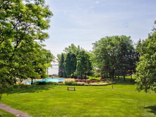 Jardin - 601-90 Rue Berlioz, Montréal (Verdun/Île-Des-Soeurs), QC 