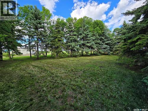 Muchowski Acreage, Montmartre, SK 