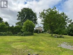Backyard - 
