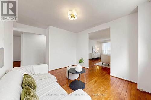 Family Room - 8 Dunmail Drive, Toronto, ON 