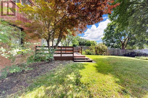 Backyard - 8 Dunmail Drive, Toronto, ON 
