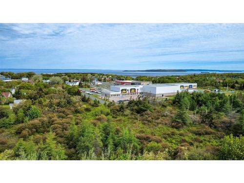 15 Kelliview Crescent, Conception Bay South, NL 