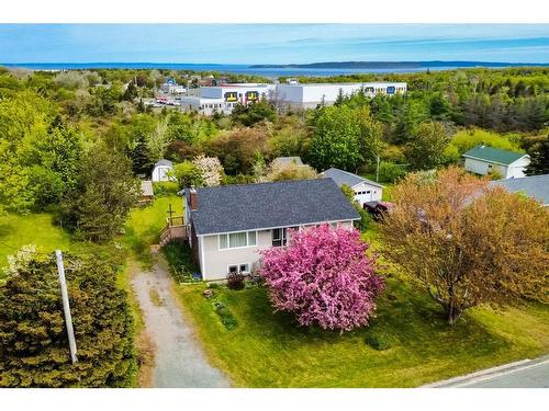 15 Kelliview Crescent, Conception Bay South, NL 