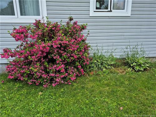 45 Clearview Ave, Nashwaaksis, NB 