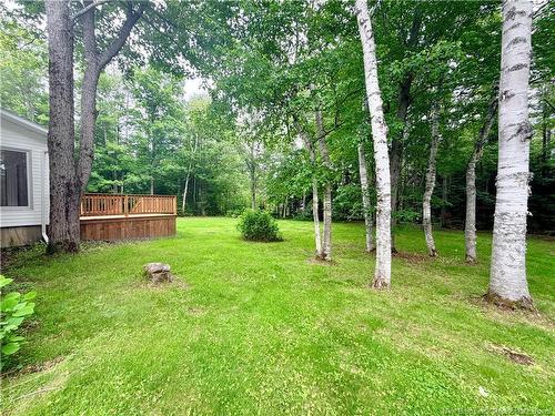 438 Mckinnon, Miramichi, NB 