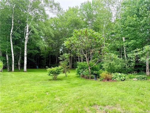 438 Mckinnon, Miramichi, NB 