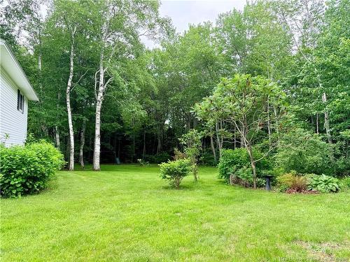 438 Mckinnon, Miramichi, NB 
