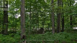 837 ASPDIN ROAD Huntsville (Chaffey), ON P1H 0H2