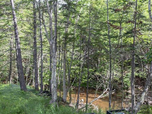 11085 Shore Road, Outram, NS 