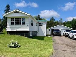 82 Wolsley Street  Springhill, NS B0M 1X0