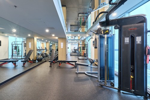 Salle d'exercice - 2102-60 Rue De L'Éclipse, Brossard, QC 