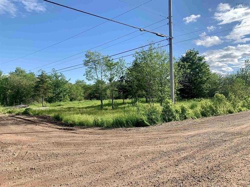 205 Thomas Dickson Road, Claremont, NS 