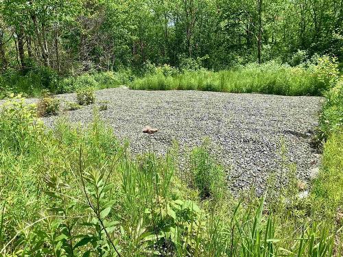 205 Thomas Dickson Road, Claremont, NS 