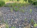 205 Thomas Dickson Road, Claremont, NS 