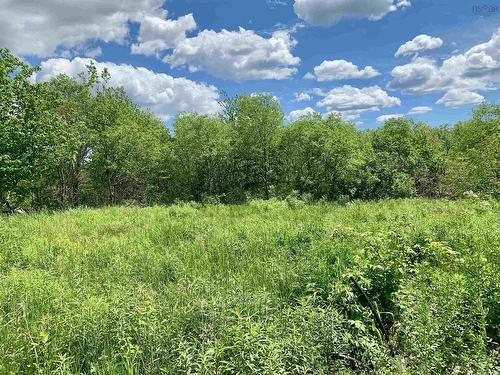205 Thomas Dickson Road, Claremont, NS 