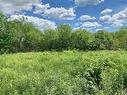 205 Thomas Dickson Road, Claremont, NS 